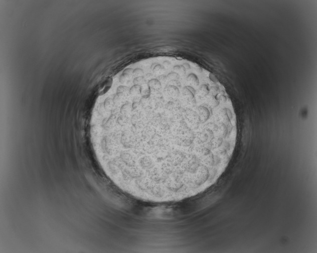 X0000115680366200912241445