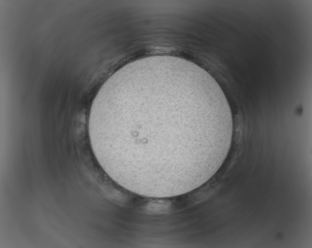 X0000115680369200912241445