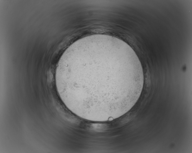 X0000115680371200912241445