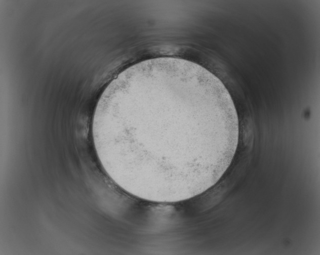 X0000115680374200912241445