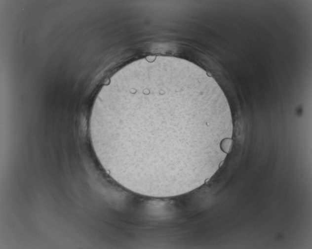 X0000115680375200912241445