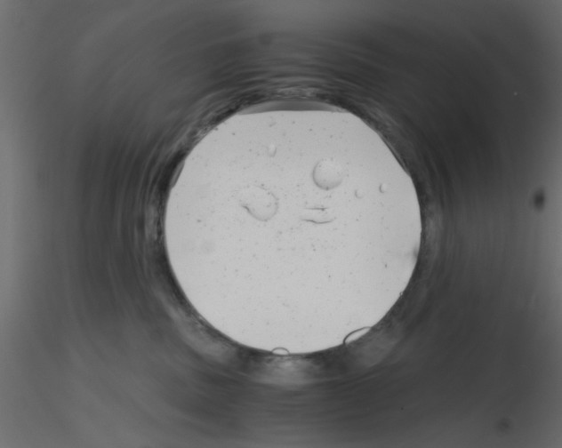 X0000115680379200912241446