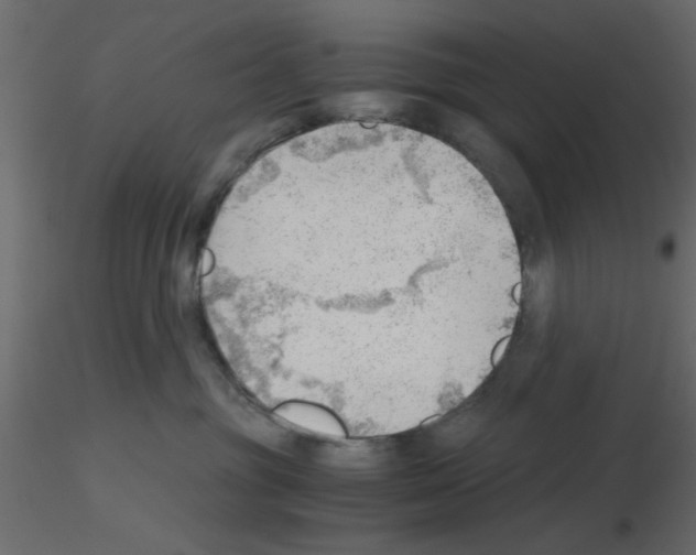 X0000115680381200912241446