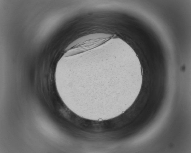 X0000115680382200912241446