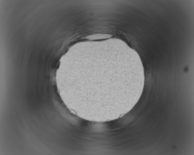 X0000115680383200912241446