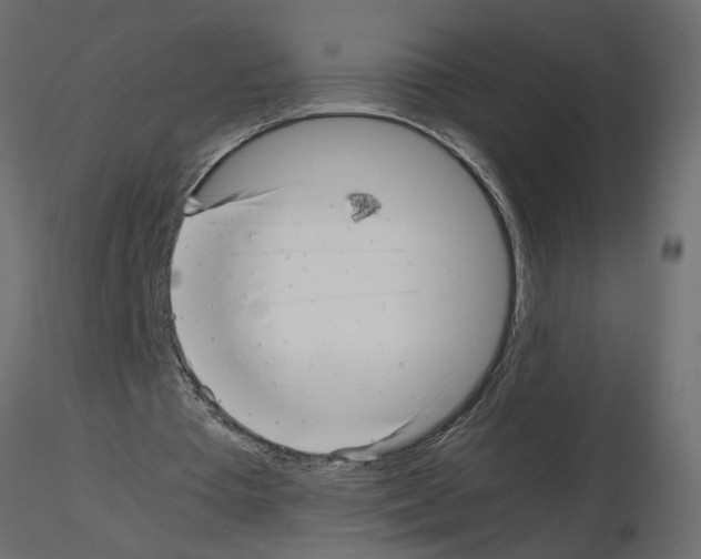 X0000115680385200912241445
