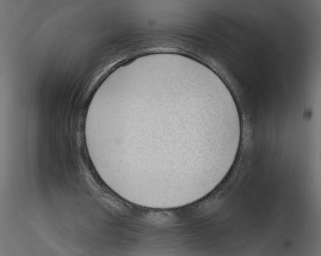X0000115680386200912241445