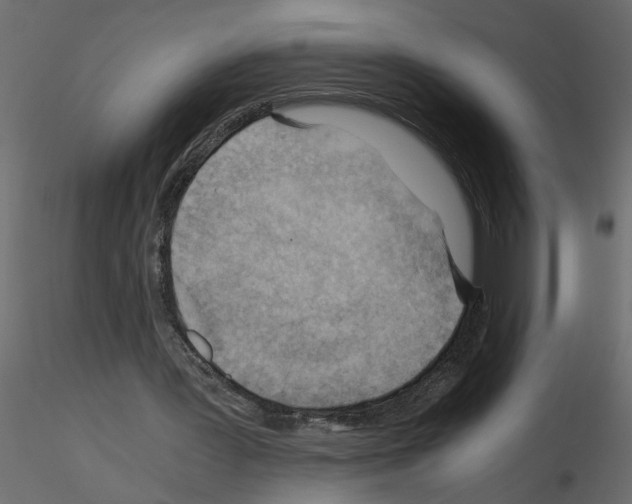 X0000115680387200912241445