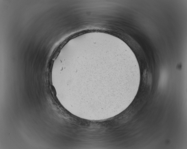 X0000115680388200912241445