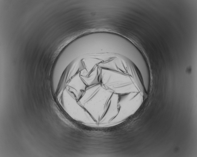 X0000115680389200912241445