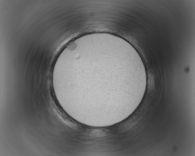X0000115680390200912241445