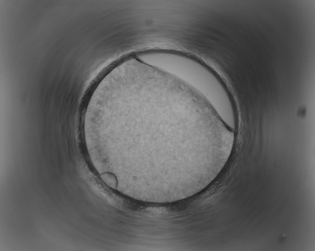X0000115680391200912241445
