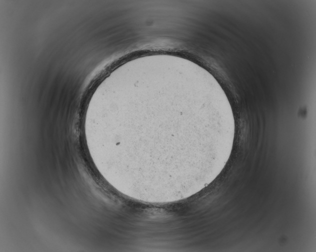X0000115680392200912241445