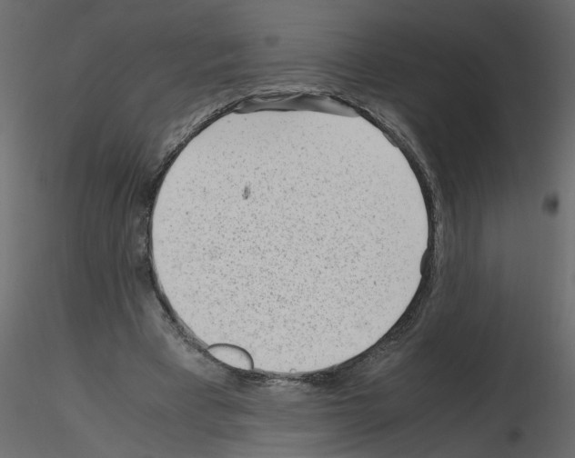 X0000115680393200912241445