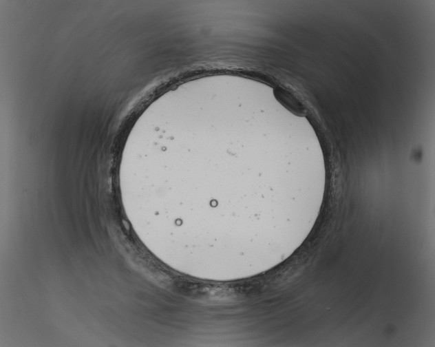 X0000115680395200912241445