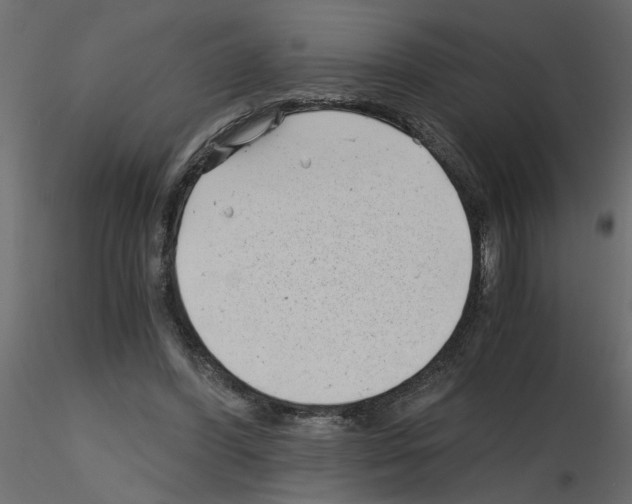 X0000115680396200912241445