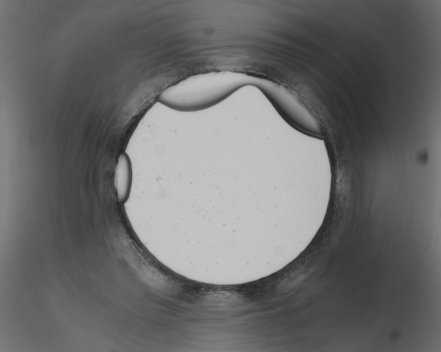 X0000115680397200912241445