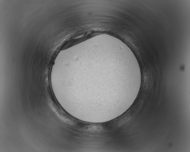 X0000115680398200912241445