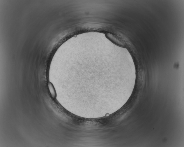 X0000115680399200912241445