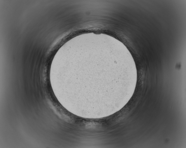 X0000115680400200912241445