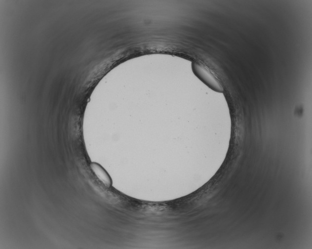 X0000115680401200912241445