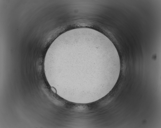 X0000115680402200912241445