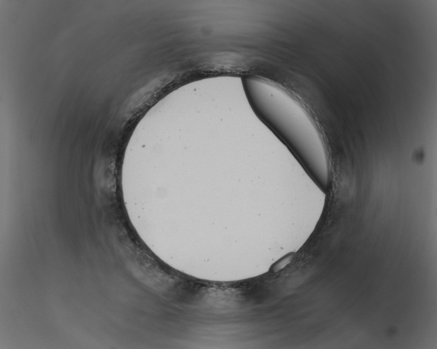 X0000115680403200912241445