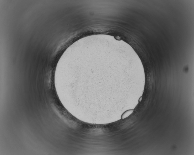 X0000115680404200912241445