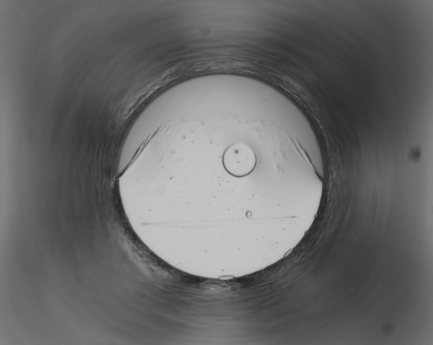 X0000115680405200912241445