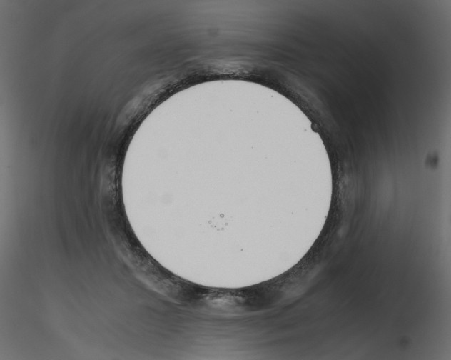 X0000115680407200912241445