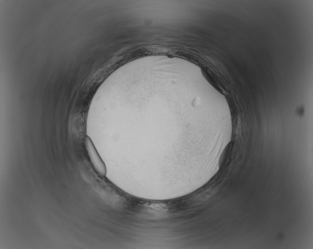 X0000115680409200912241445
