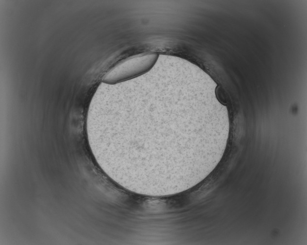 X0000115680413200912241445