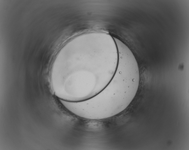 X0000115680415200912241445