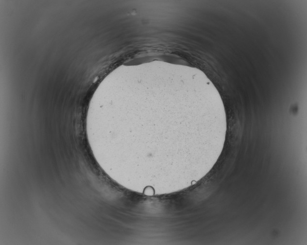 X0000115680416200912241445