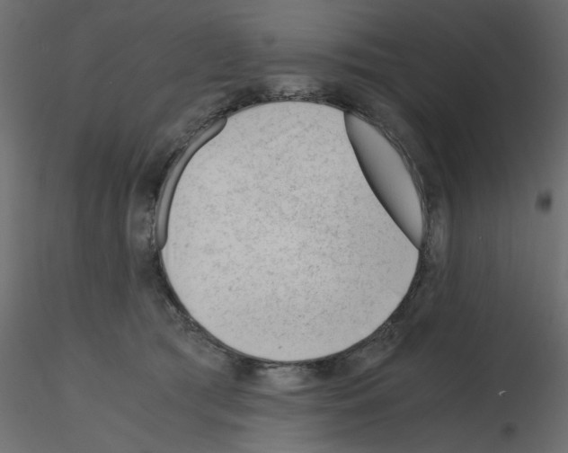 X0000115680417200912241445
