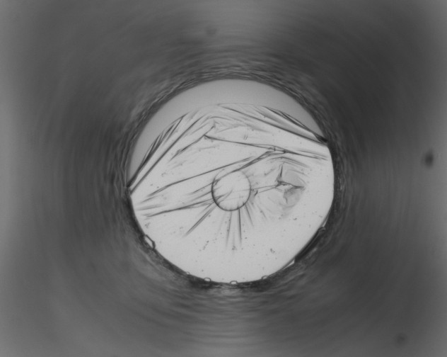 X0000115680419200912241444