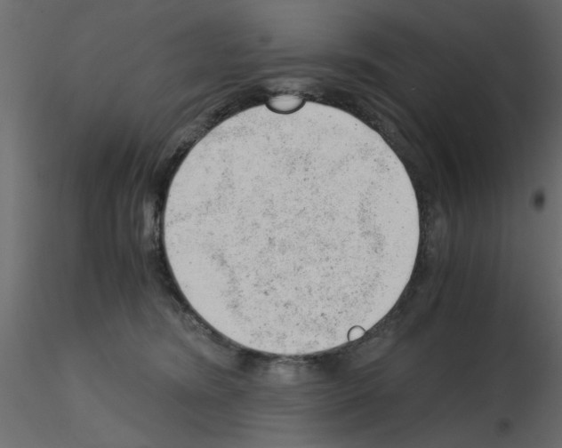 X0000115680420200912241444