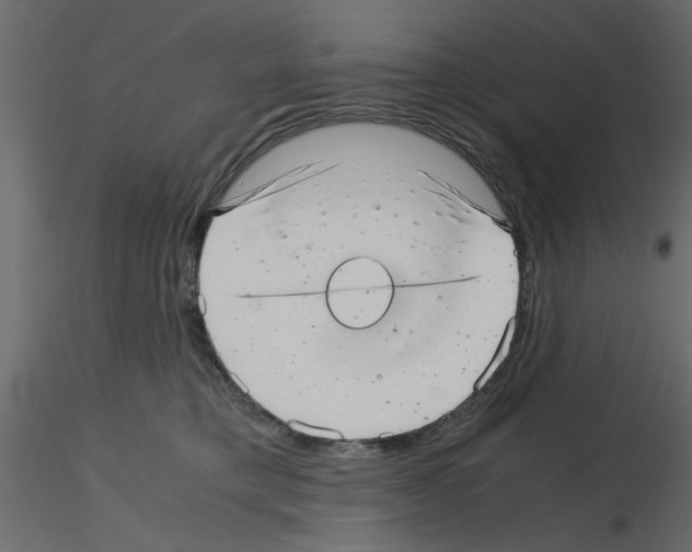 X0000115680421200912241444