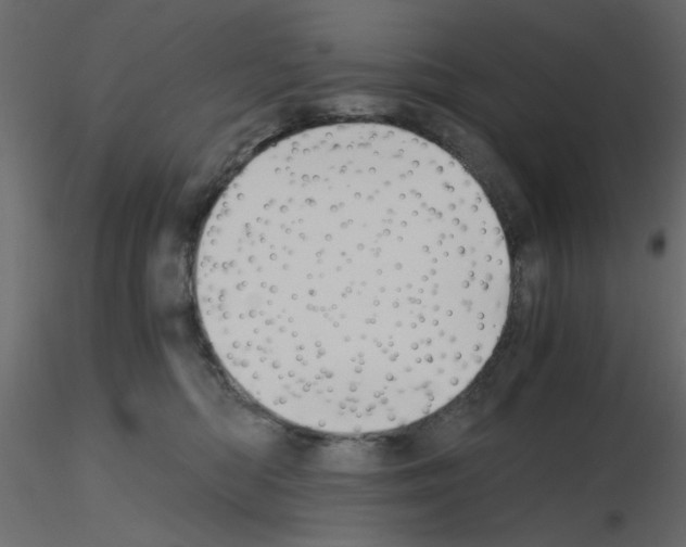 X0000115680422200912241444