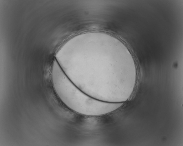 X0000115680423200912241444
