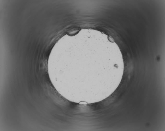 X0000115680425200912241444