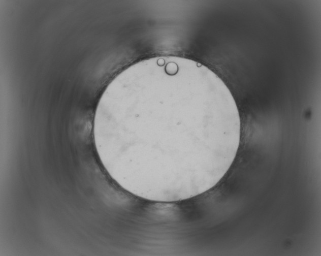 X0000115680427200912241444