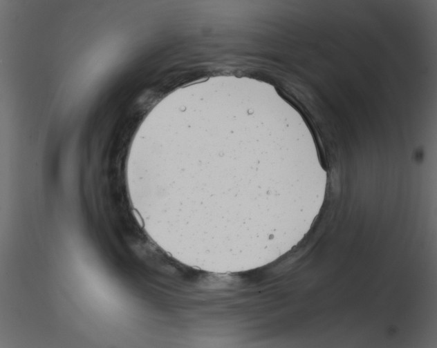 X0000115680429200912241444
