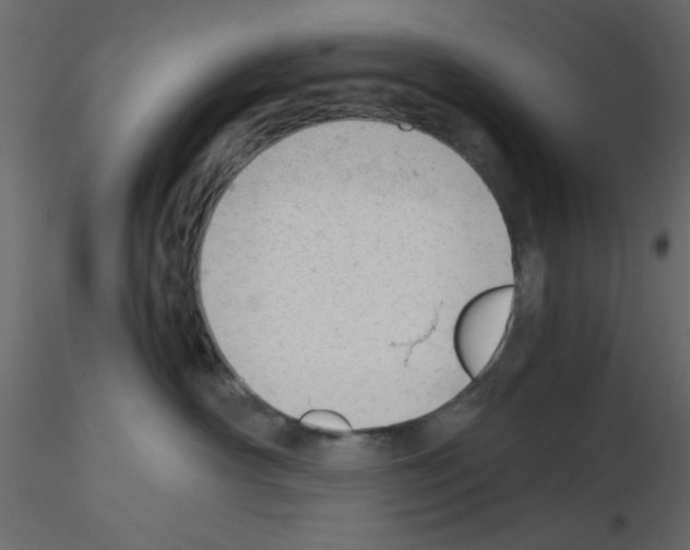 X0000115680430200912241444