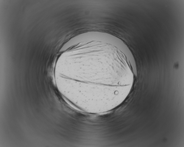 X0000115680431200912241444