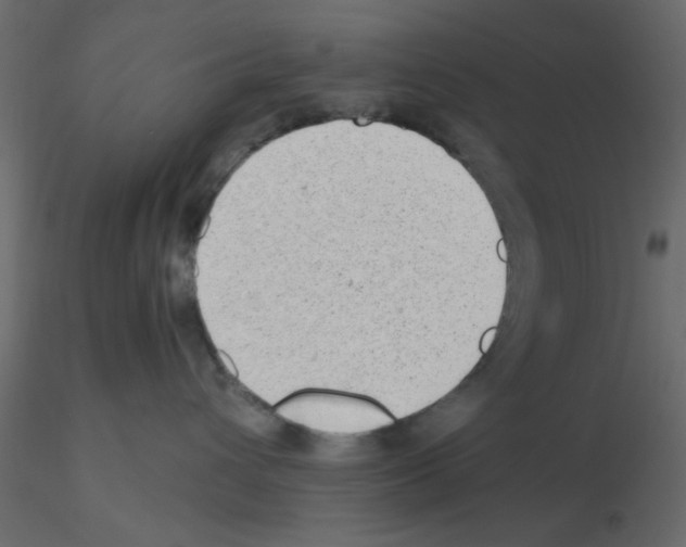 X0000115680432200912241444