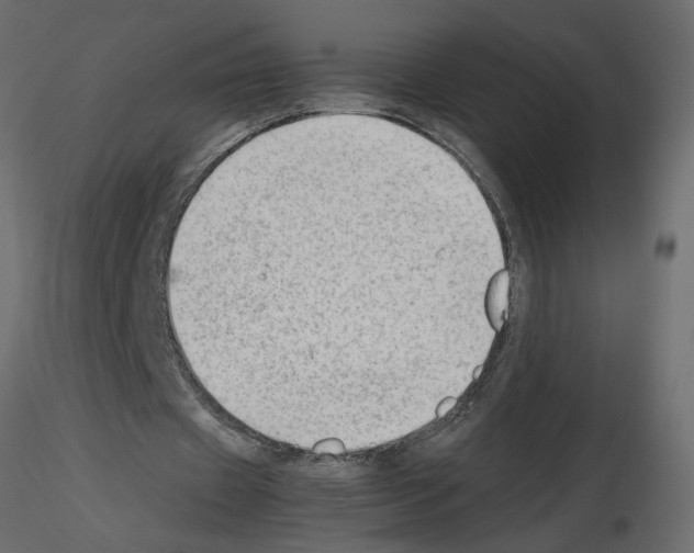X0000115680433200912241444
