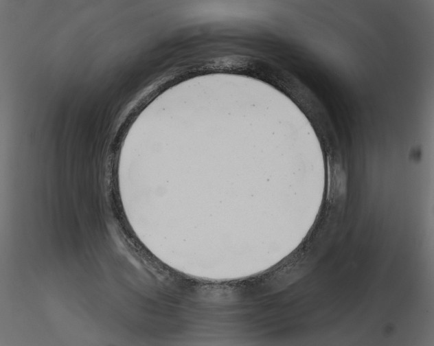 X0000115680435200912241444
