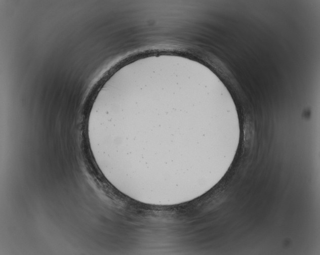 X0000115680436200912241444