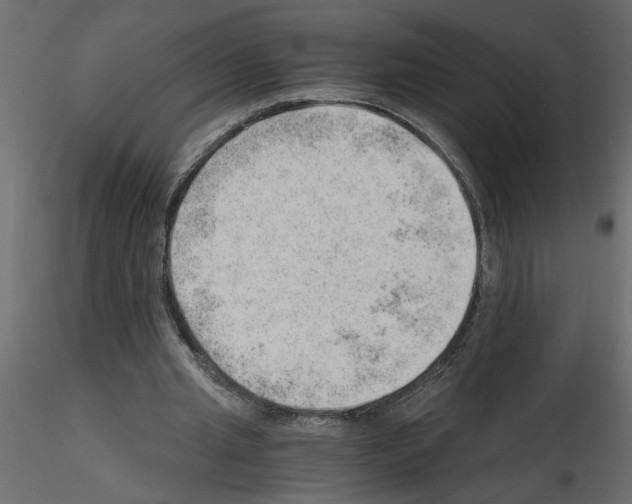 X0000115680437200912241444